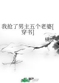 我抢了男主五个老婆[穿书