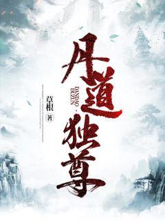 丹道独尊txt全本