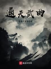 通天武曲电子书