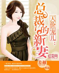 天价宠儿总裁的新妻完整版