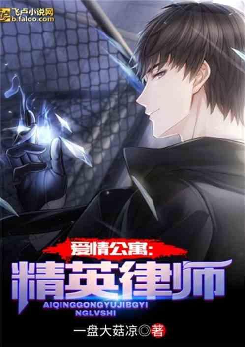 爱情公寓精英律师免费