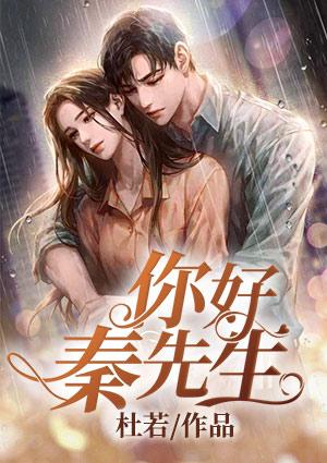 你好秦先生秦风