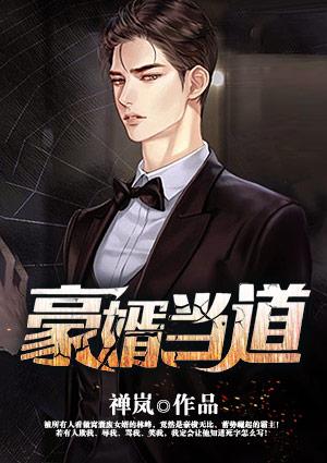 豪婿当道叶辰与李晴晴