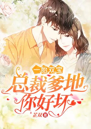 一胎双宝总裁爹地你好坏 芷双