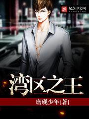 湾区之王txt八零