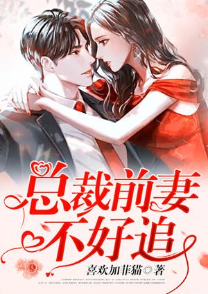 总裁前妻不好追在七猫里什么名字
