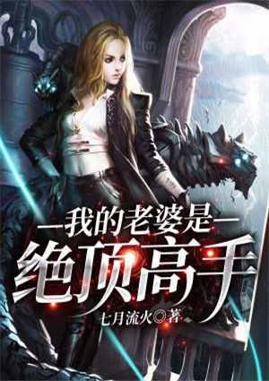 我的老婆是绝顶高手女主