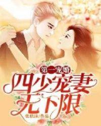 第一宠婚四少宠妻无下限无弹窗完整版