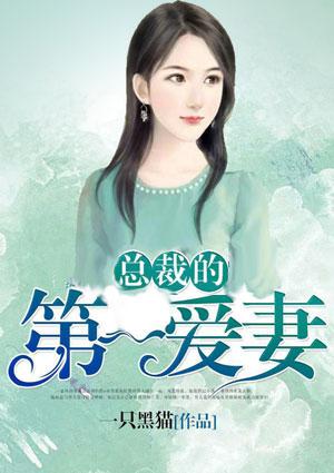 总裁的第一爱妻 百度