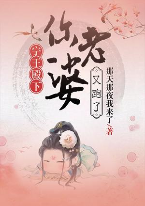 你老婆又跑了全文免费阅读