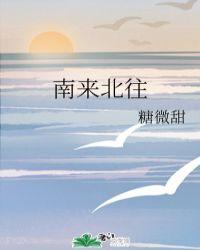 南来北往走西东 看得浮生总是空