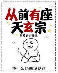 从前有座天玄宗txt