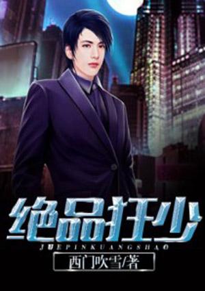 绝品狂少老灰狼TXT