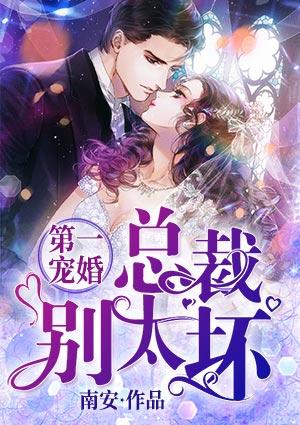 第一宠婚总裁别太坏免费阅读全文