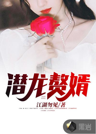 潜龙赘婿陈述