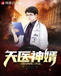 天医神婿叶辰