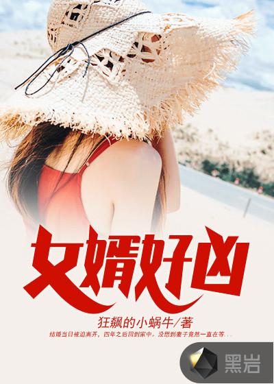 女婿很厉害