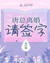 唐老板离婚请签字八番外