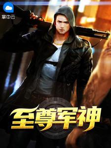 至尊军神txt