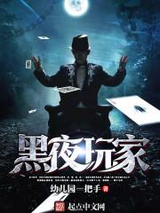 黑夜玩家txt