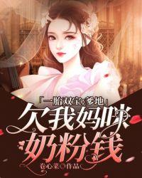 一胎双宝爹地欠我妈咪奶粉钱掌阅