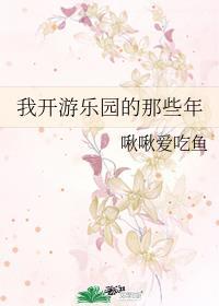 我开游乐园的那些年系统