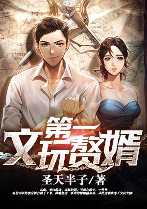第一文玩赘婿/圣天半子