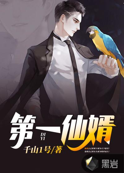 第一仙婿陈宣