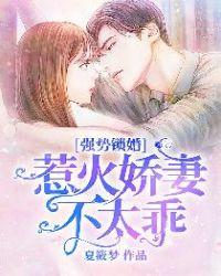 娇妻在上夜少强势锁婚全文