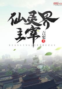 仙灵界主宰txt