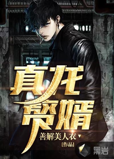 真龙赘婿龙昊的