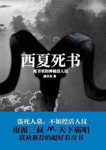 西夏死书电视剧在线看