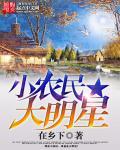 小农民大明星txt全本