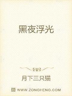 浮光夜影是什么颜色
