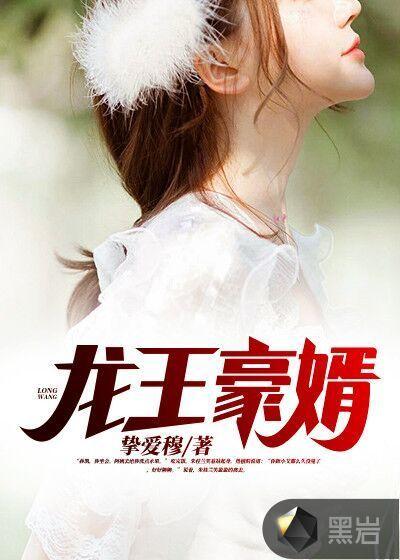 龙王豪婿完整视频