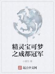 精灵宝可梦成都联盟从哪集开始