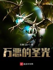 万恶的圣光是什么