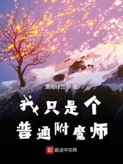 我只是个普通附魔师tⅹt