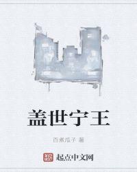 盖世宁王TXT
