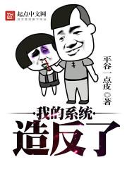 我的系统出问题