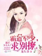 求别撩txt