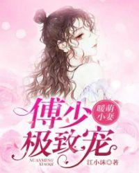 暖萌小妻傅少极致宠