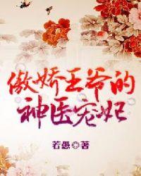 傲娇王爷的神医宠妃舒宁楚凌煜