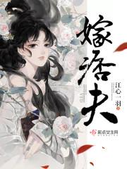 嫁痞夫人物简介