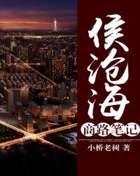 侯沧海商路笔记在线阅读