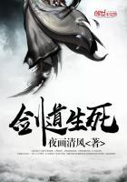 剑道生死夜画清风