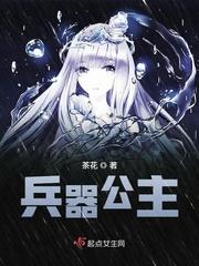 假公主的兵器是什么