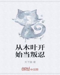 从木叶开始当叛忍白石