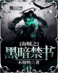 海贼之黑暗禁书第八区
