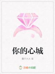 你的心城墙 老歌